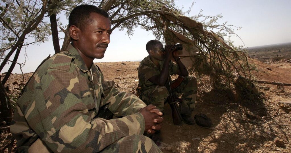 Ethiopia said on Saturday its forces seized another town